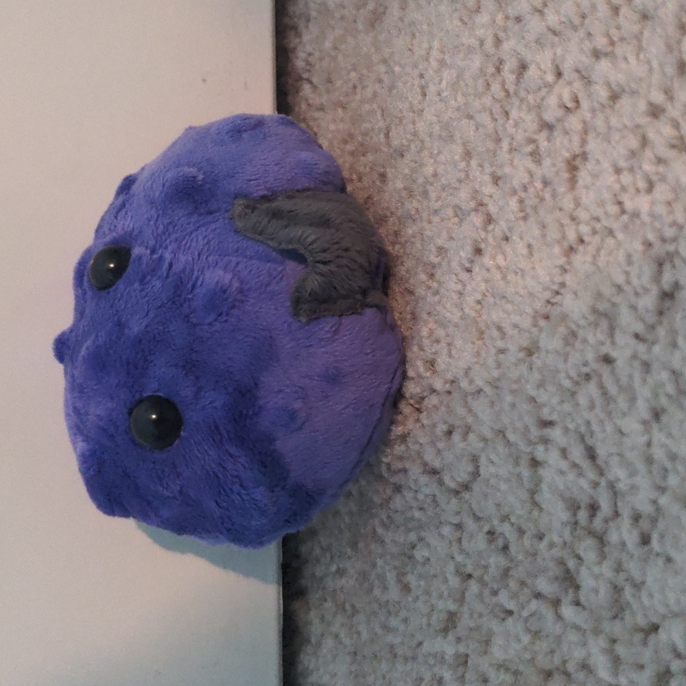 Pocket Pal #1